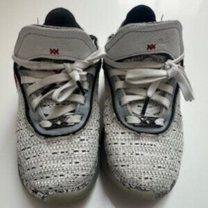 Lebron James Pink Diamond Collection Used Sneakers